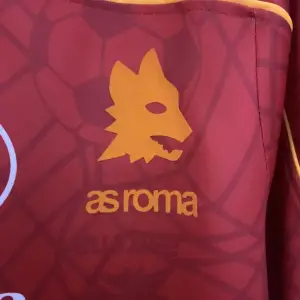 AS ROMA 1995/96 (RETRO) HOME