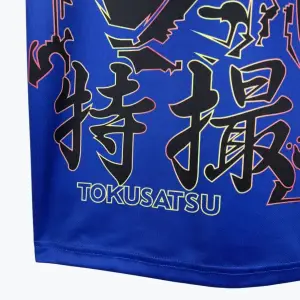 JAPAN ANIME EDITION (2024/25) TOKUSATSU