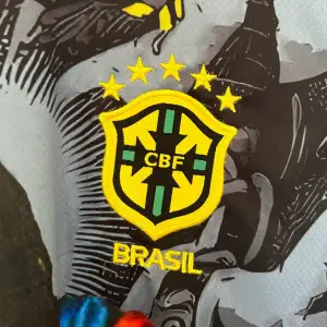 BRASILE 2025/26 (HOME) CONCEPT DESIGN V.1